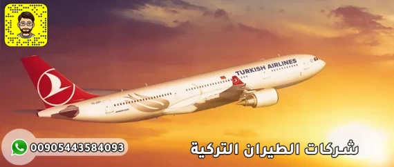 شركات الطيران التركية